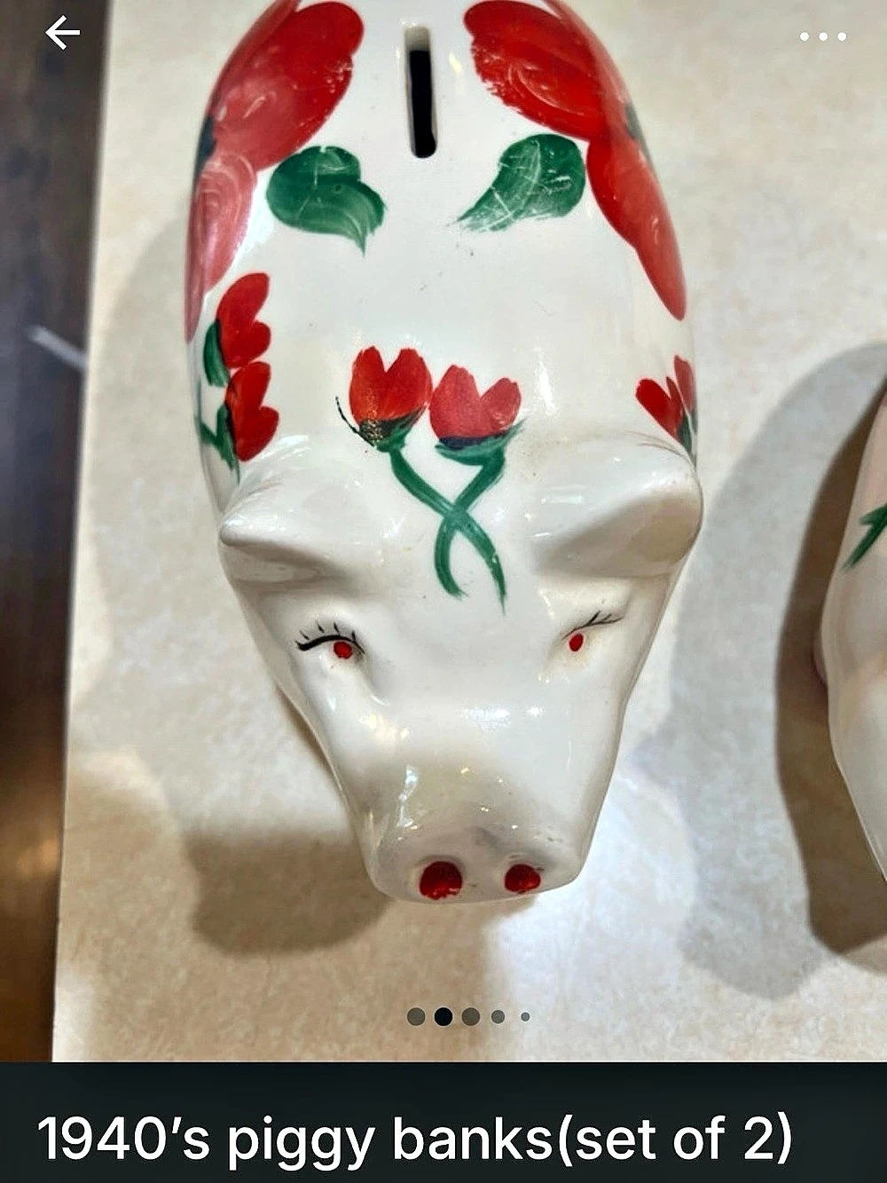 Vintage Floral Ceramic Piggy Banks Set of 2